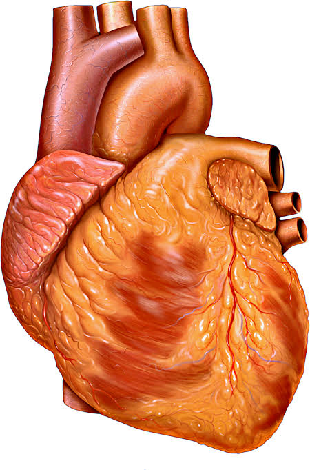 Cholestrol